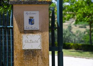 Villa Domitilla & Villa Sveva: luxury holiday rentals in Italy